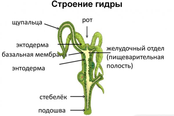 Не работает сайт kraken