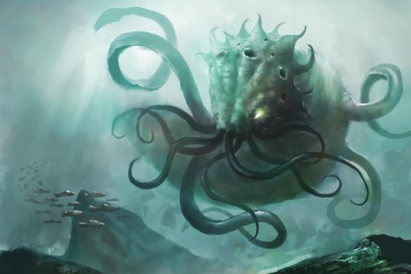 Kraken найдется все